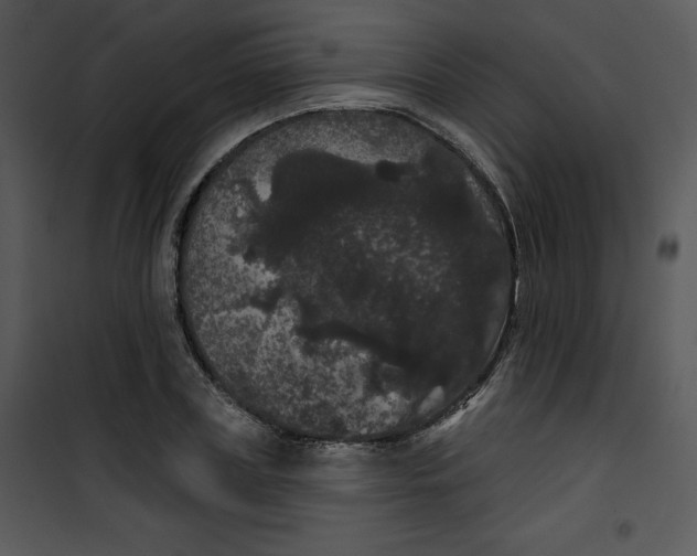 X0000100890835200807220949