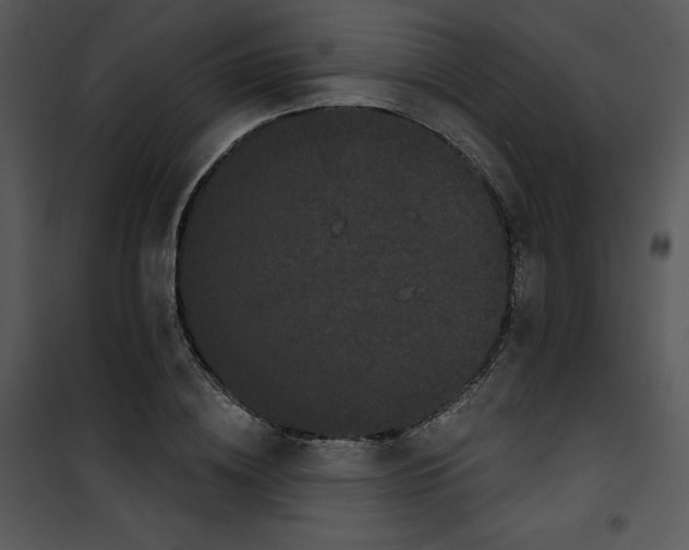 X0000100890836200807220949