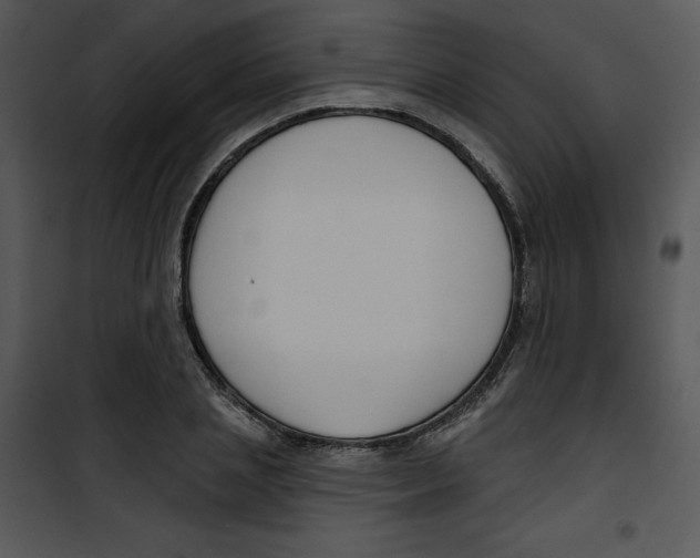 X0000100890837200807220949