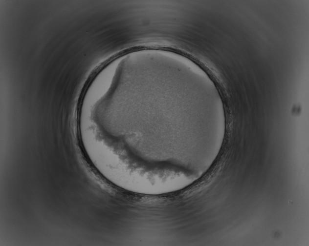 X0000100890840200807220949