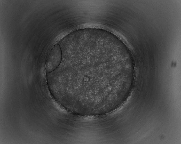 X0000100890841200807220949