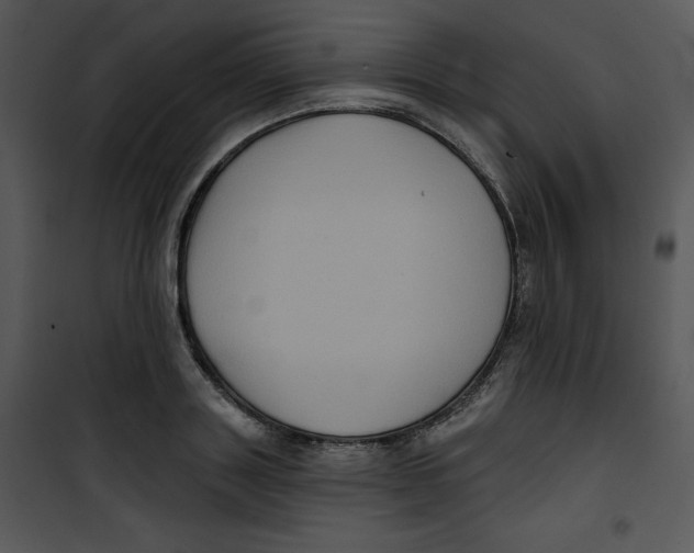 X0000100890843200807220949