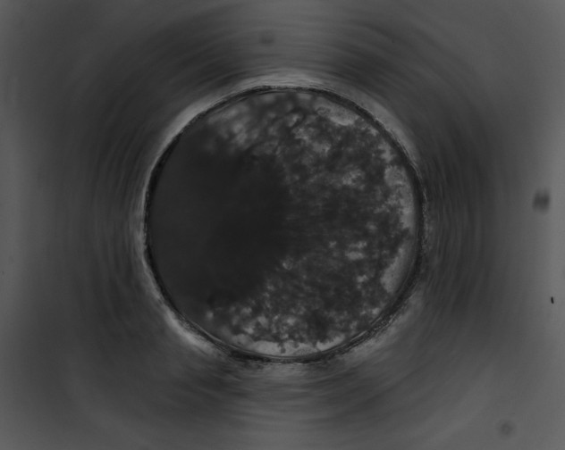 X0000100890845200807220950