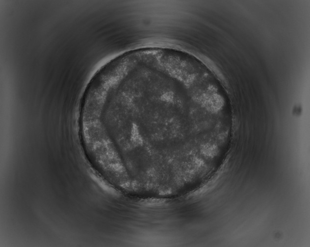 X0000100890846200807220950