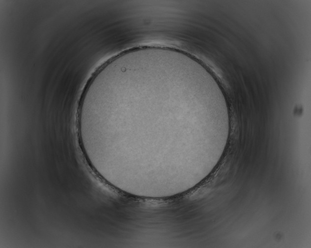 X0000100890848200807220950