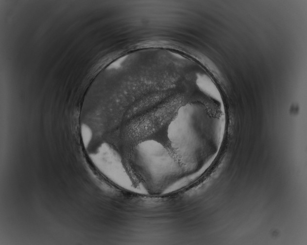 X0000100890849200807220950