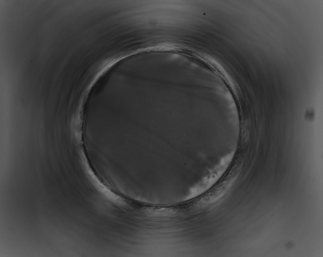 X0000100890851200807220950