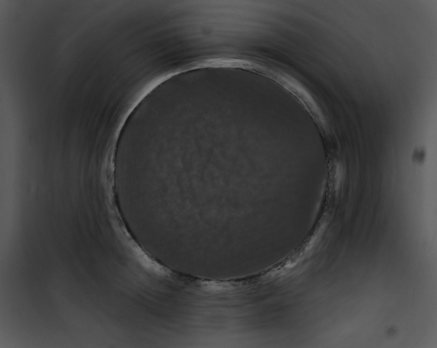 X0000100890852200807220950