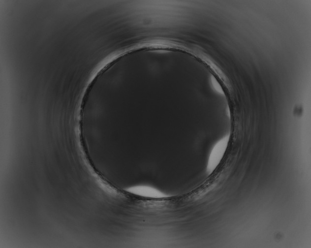 X0000100890853200807220950