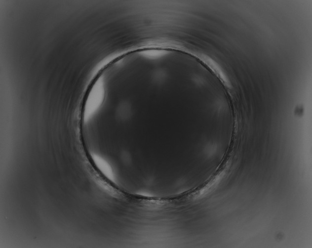 X0000100890854200807220950