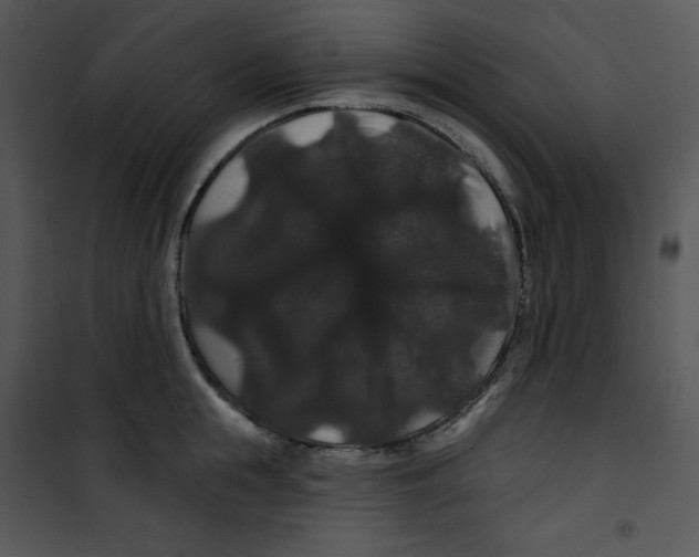 X0000100890855200807220950