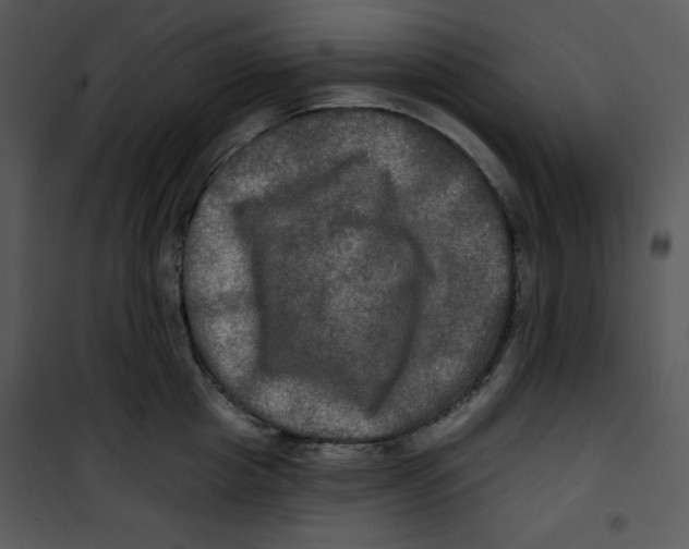 X0000100890857200807220950