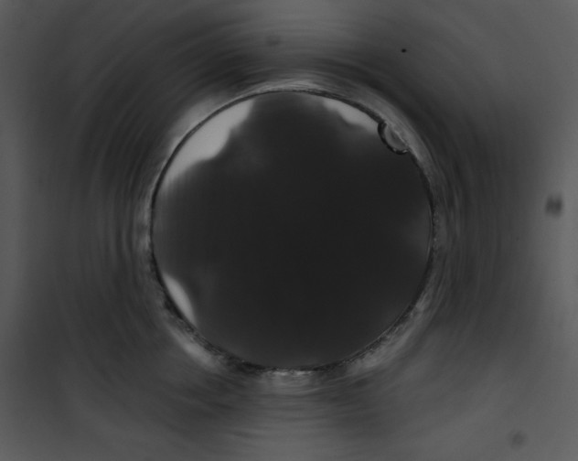 X0000100890858200807220950