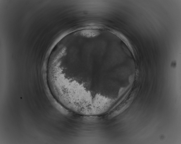 X0000100890859200807220950