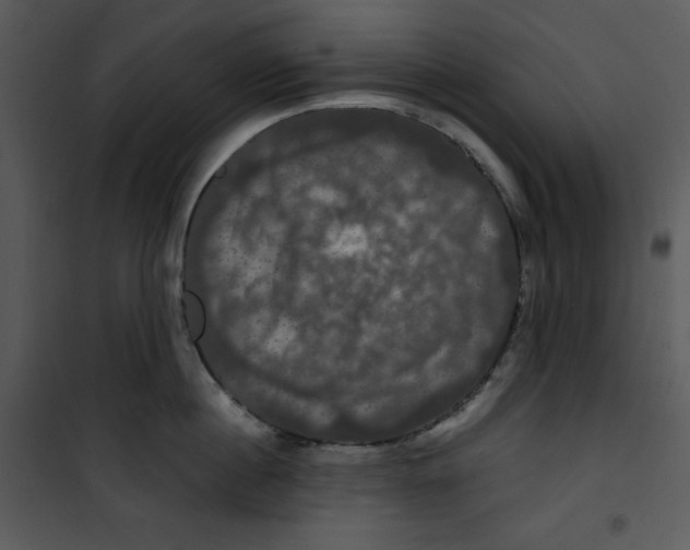 X0000100890860200807220950