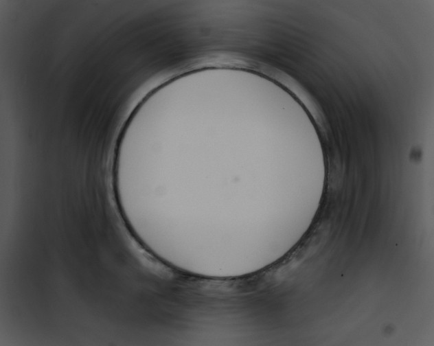 X0000100890861200807220950