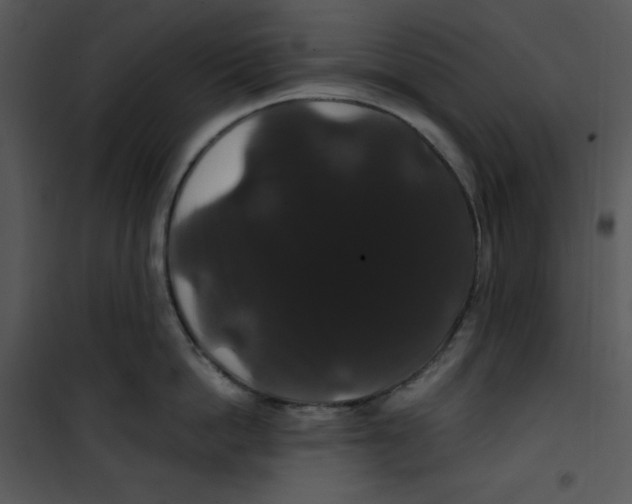 X0000100890862200807220950