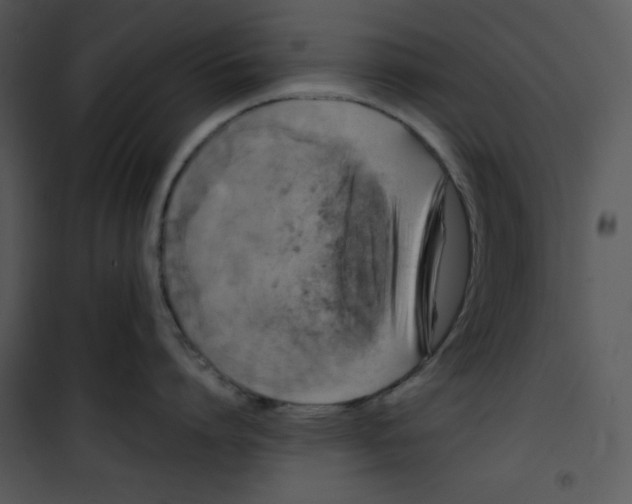 X0000100890864200807220950