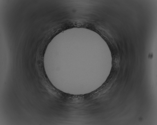 X0000100890865200807220949