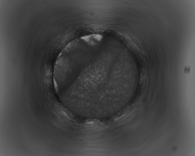 X0000100890866200807220949