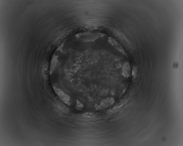 X0000100890867200807220949