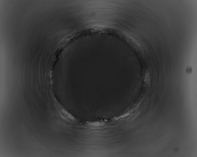 X0000100890868200807220949