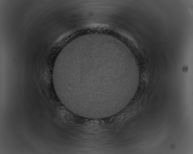 X0000100890869200807220949