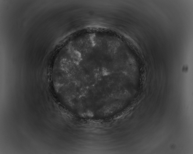 X0000100890870200807220949