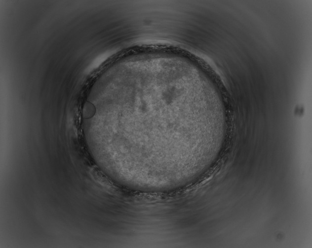 X0000100890871200807220949