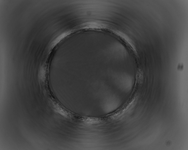 X0000100890874200807220949