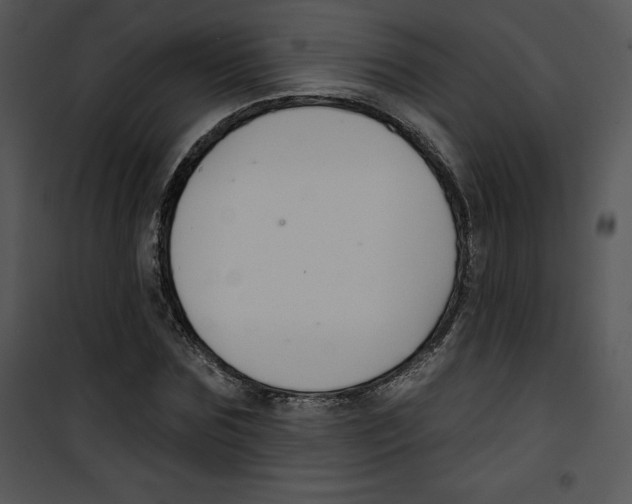 X0000100890875200807220949