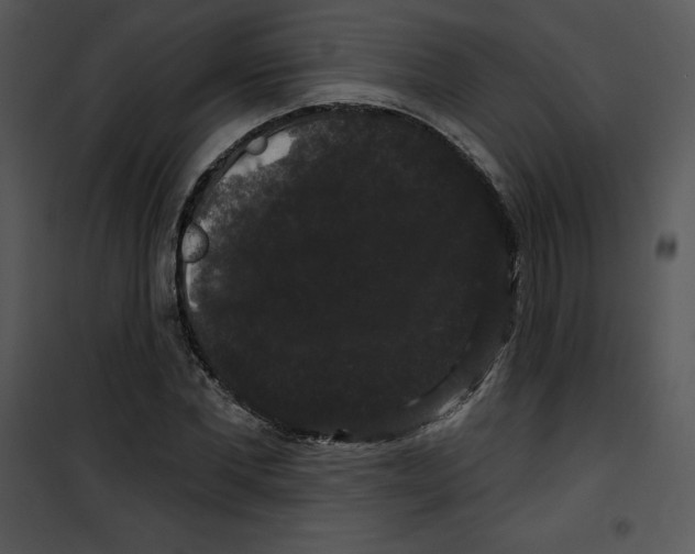 X0000100890877200807220949