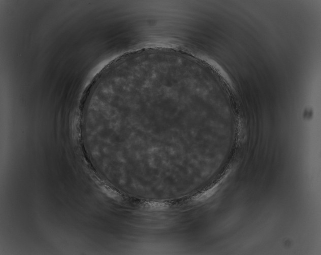 X0000100890878200807220949