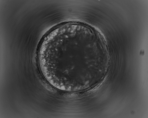 X0000100890879200807220949