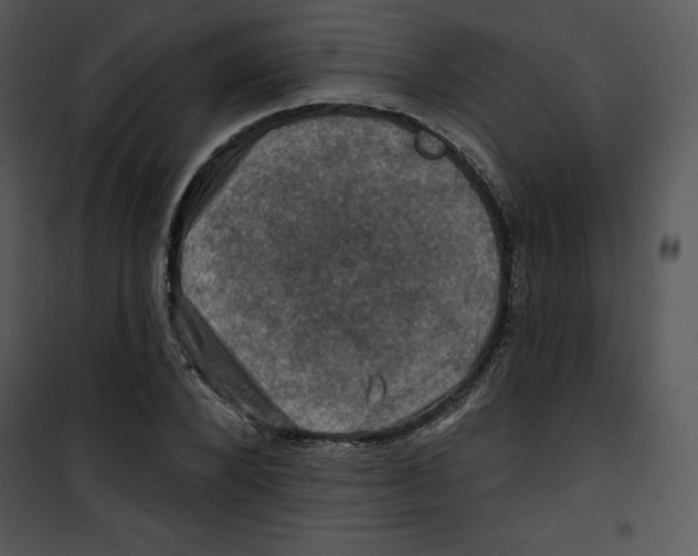 X0000100890880200807220949