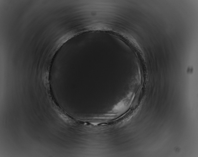 X0000100890881200807220949