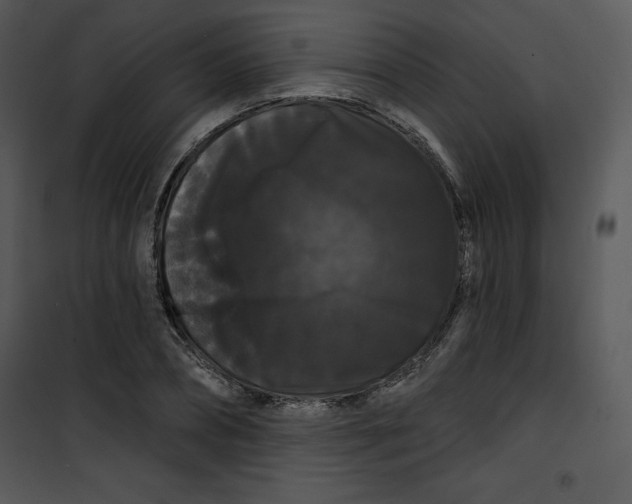 X0000100890882200807220949