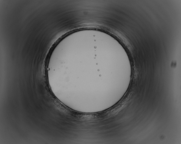 X0000100890883200807220949