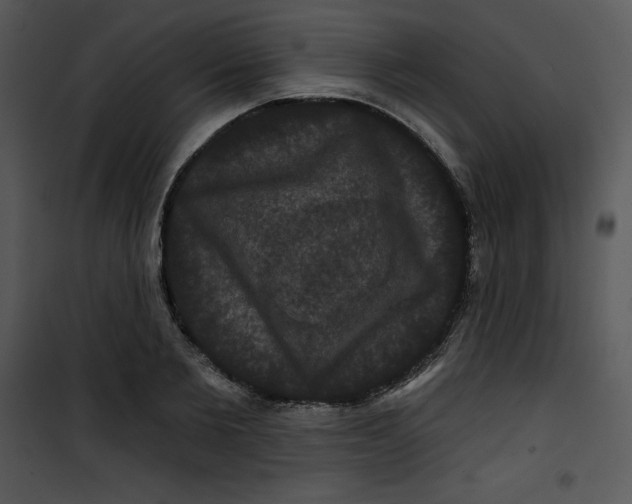 X0000100890885200807220949