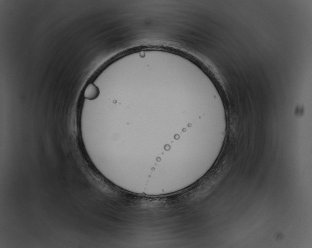 X0000100890887200807220949