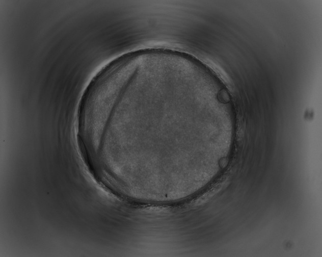 X0000100890888200807220949