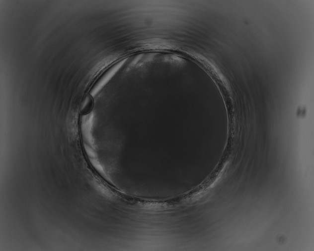 X0000100890889200807220949