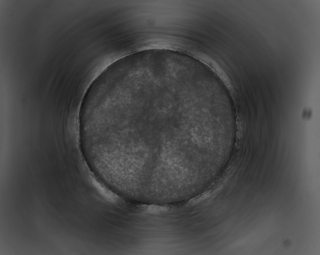 X0000100890890200807220949