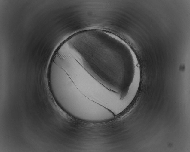 X0000100890892200807220949