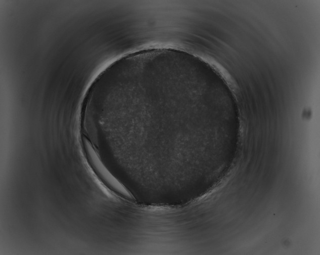 X0000100890894200807220949