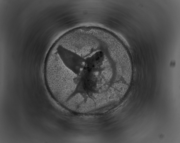 X0000100890895200807220949