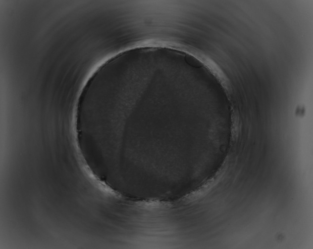 X0000100890896200807220949