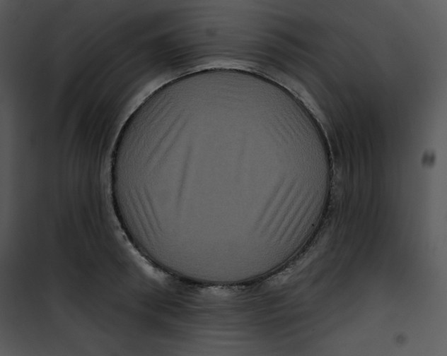 X0000100890898200807220949