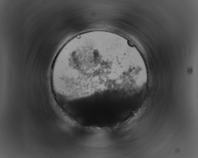 X0000100890899200807220949