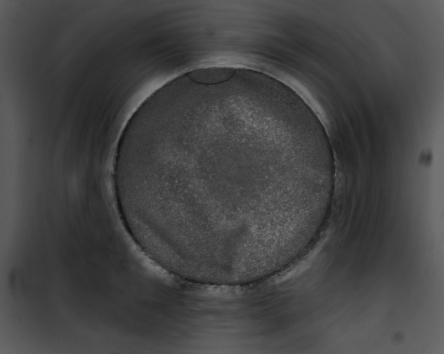 X0000100890901200807220949